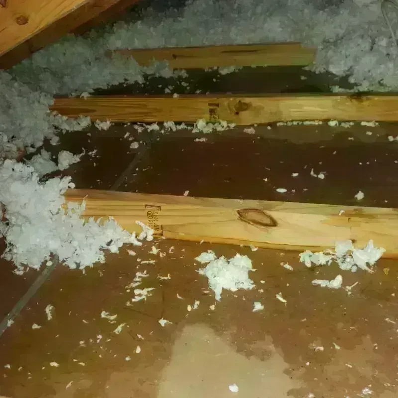 Attic Water Damage in Cambridge, OH