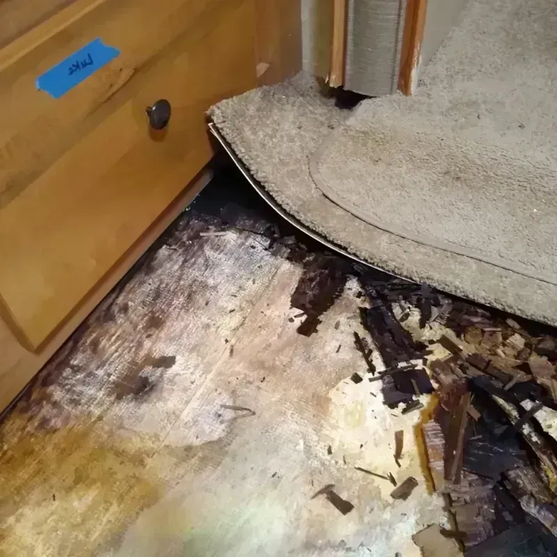 Best Wood Floor Water Damage Service in Cambridge, OH